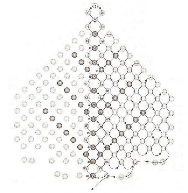 向日葵族的最爱