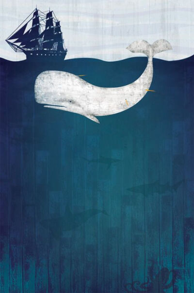 鲸鱼的插画图片