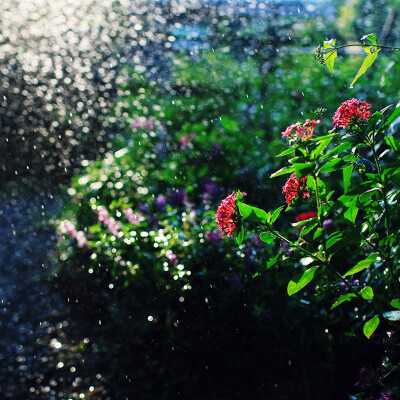 种桃种李种春风