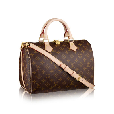 Louis Vuitton Speedy