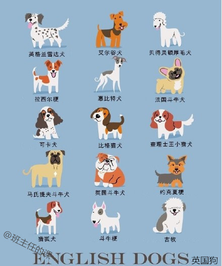 【世界名犬分类大全】插画家 Lili Chin从2014年的夏天开始画了200多只来自世界各地、广受欢迎的狗狗品种，她向大家展示出了一个狗的世界，以下是192只犬品种的集合。它们是按地理位置、国家分布来分类的。一起来看看你喜欢的汪星人都来自哪里~