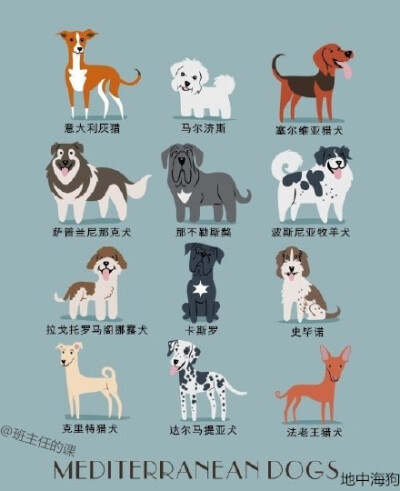 【世界名犬分类大全】插画家 Lili Chin从2014年的夏天开始画了200多只来自世界各地、广受欢迎的狗狗品种，她向大家展示出了一个狗的世界，以下是192只犬品种的集合。它们是按地理位置、国家分布来分类的。一起来看看…