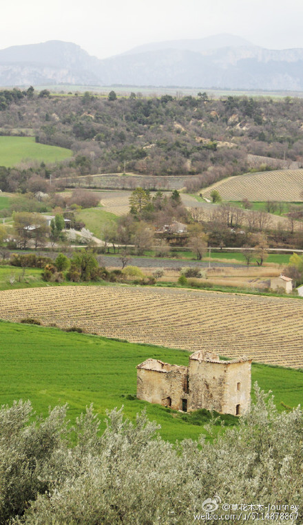 #李.旅.行##带着微博去旅行 ##小镇控# 法国南部，瓦伦索（Valensole）和Puimoisson,还未盛开的薰衣草田和绿油油的麦田。