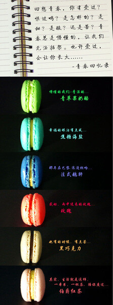  卡梦朵Kamundo【青春回忆录】马卡龙经典礼盒，每一口都是的回忆，或是初恋的青涩、或是恋爱的甜蜜、或是幸福时的眼泪，因为一种食物记得一个人，写下你和她的回忆录时尚礼盒 礼物