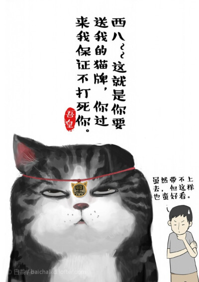 这就是你送我的猫牌？！