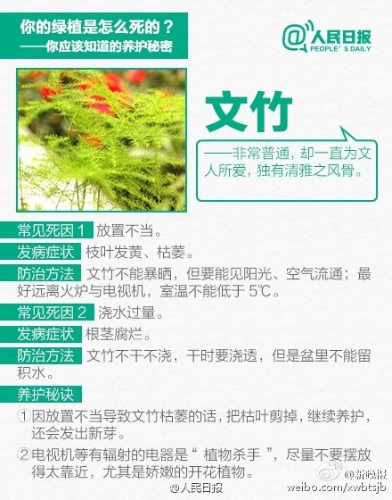 【9张图告诉你，为什么你总把花养死】花店老板总会说：“这花最好养了，浇浇水就行”。可没几个月，花就“莫名其妙”地死了，怎么破？其实，“浇浇水”也是一门学问。戳图↓↓告诉你10种入门级家庭植物该如何养护。多学点养护知识，别再成“绿植杀手”！（人民网）