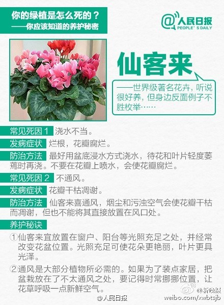 【9张图告诉你，为什么你总把花养死】花店老板总会说：“这花最好养了，浇浇水就行”。可没几个月，花就“莫名其妙”地死了，怎么破？其实，“浇浇水”也是一门学问。戳图↓↓告诉你10种入门级家庭植物该如何养护。多学点养护知识，别再成“绿植杀手”！（人民网）