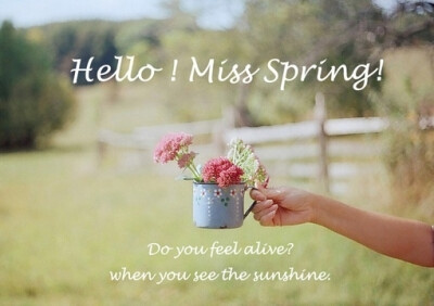 hello spring