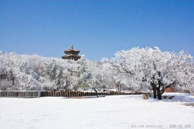 花果山之雾淞