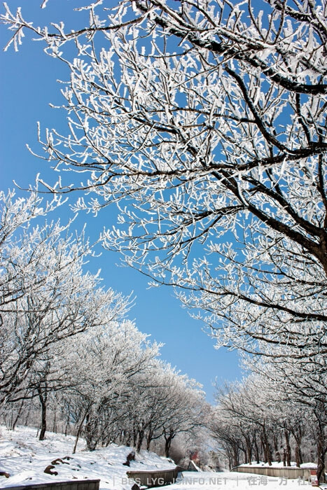 花果山之雾淞