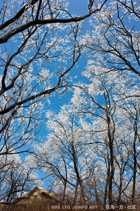 花果山之雾淞