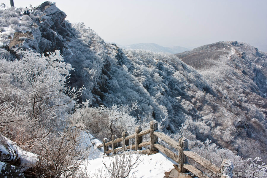 花果山之雾淞