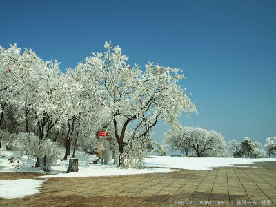 花果山春雪