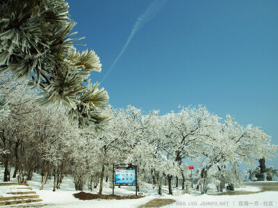 花果山春雪