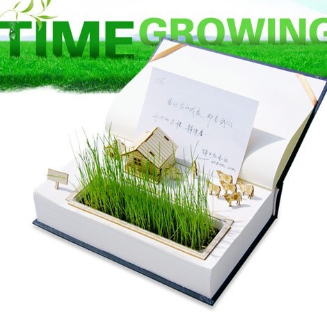 GrowingTime 开心农场-桌面现实版/DIY书本迷你盆栽 办公室绿植