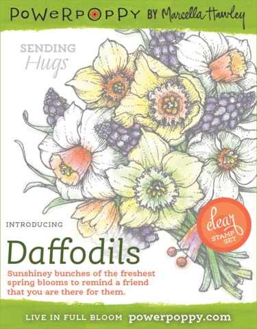 Daffodils Stamp Set