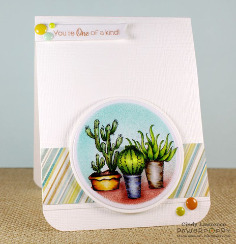 Sassy Succulents Stamp Set