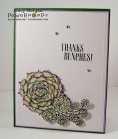 Sassy Succulents Stamp Set