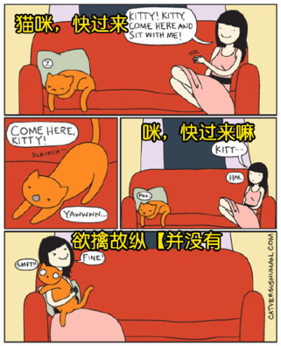 汤主Cat Vs Human画了一组小漫画：只有跟猫生活在一起的人，才懂的一些事……