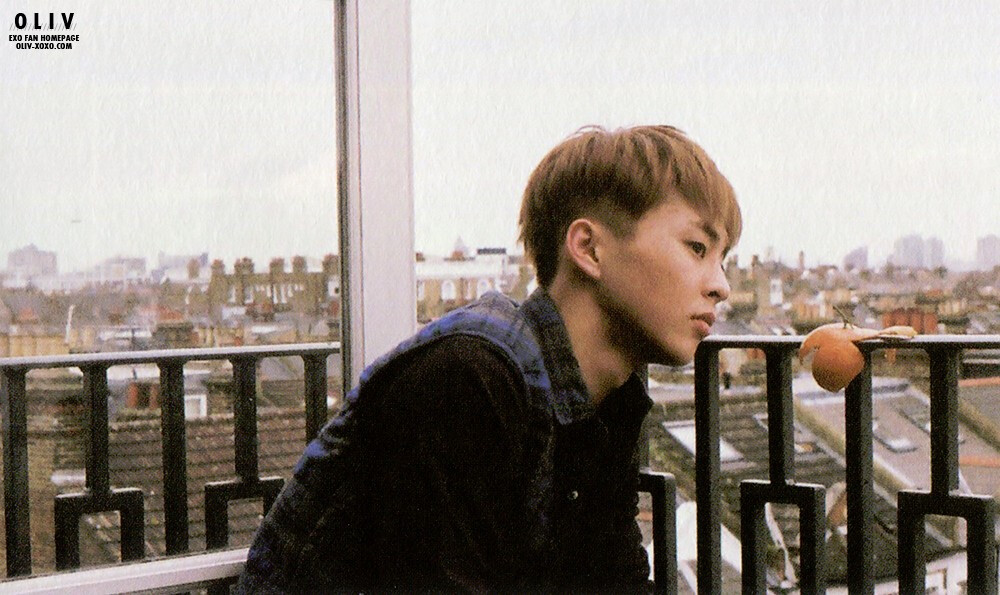 EXODUS ALBUM PB内页扫图