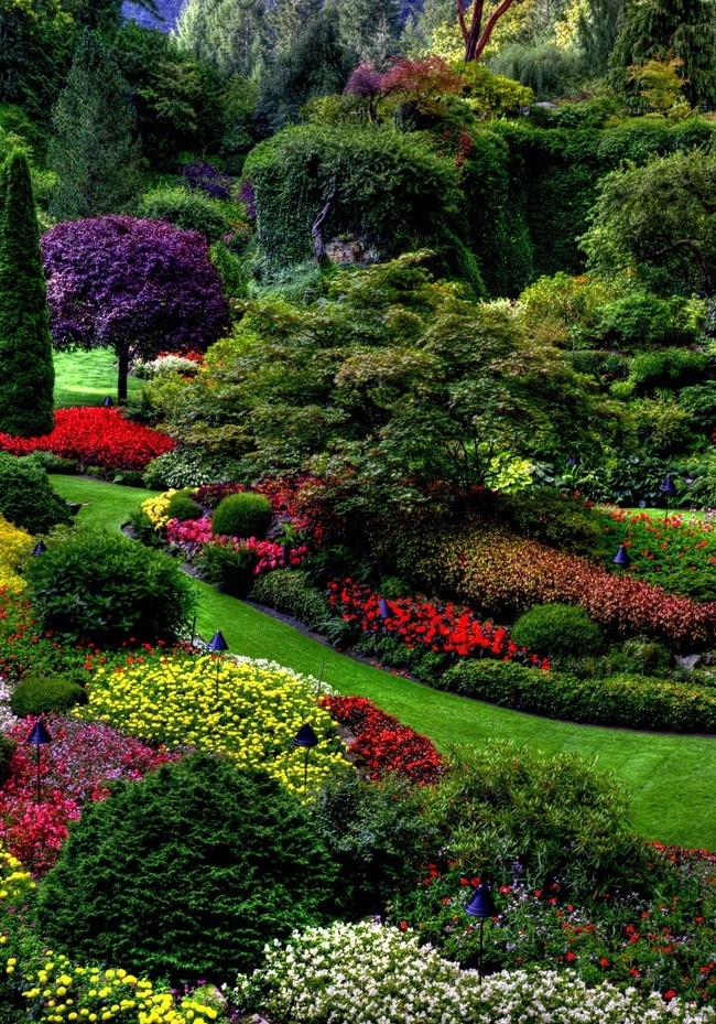 植物层次与色彩搭配（The Butchart gardens）