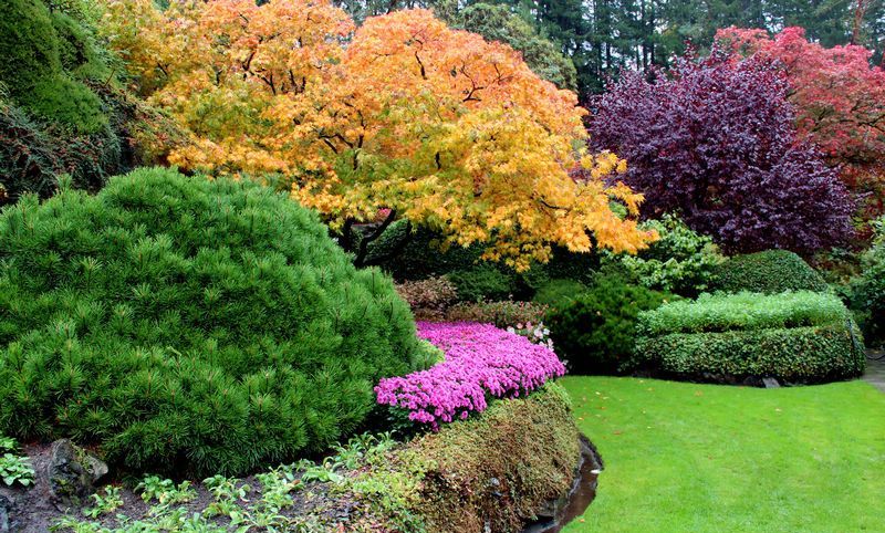 植物层次与色彩搭配（The Butchart gardens）