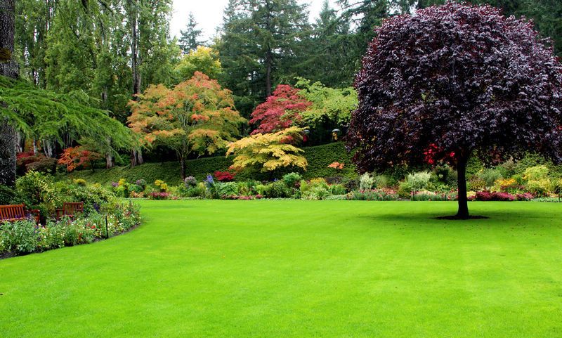 植物层次与色彩搭配（The Butchart gardens）