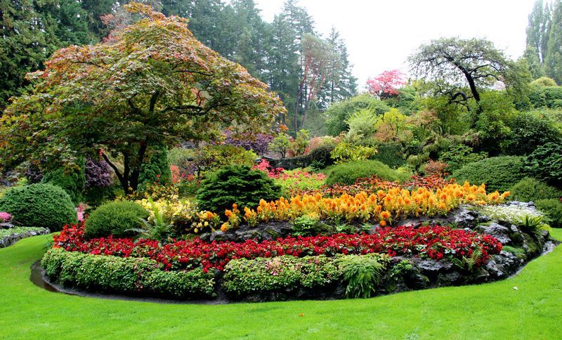 植物层次与色彩搭配（The Butchart gardens）