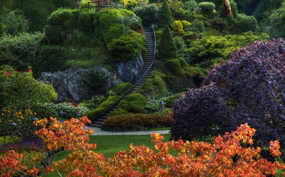 植物层次与色彩搭配（The Butchart gardens）