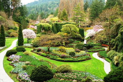 植物层次与色彩搭配（The Butchart gardens）