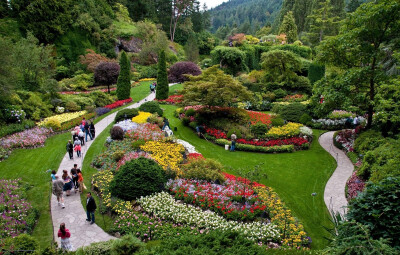 植物层次与色彩搭配（The Butchart gardens）