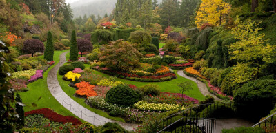 植物层次与色彩搭配（The Butchart gardens）