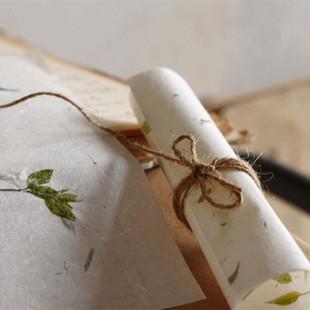 中国风古式信纸 天然植物花叶高档手绘书文艺信纸 书法信笺 10张