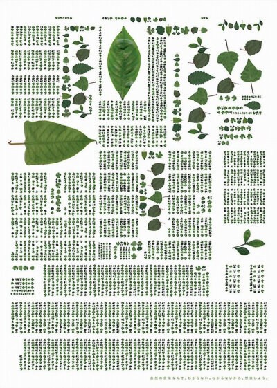 树叶字体 Leaf Type - AD518.com - 最设计