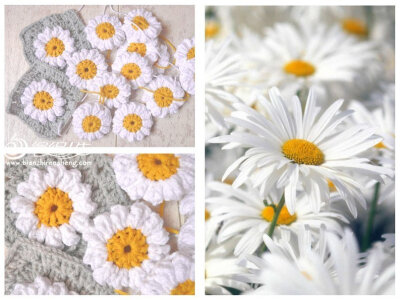 清新白雏菊钩针单元花图解教程 这是一款很形象的雏菊单元花，可拼合组成靠枕或毯子。