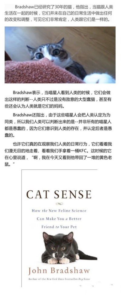 英国人类学家John Bradshaw编写的《Cat Sense》一书中的一个理论:在喵星人看来，人类跟它们是属于同一个物种。据悉，Bradshaw已经研究了30年的猫，他表示，当喵星人看到人类的时候，它们会做出这样的判断--人类只不…