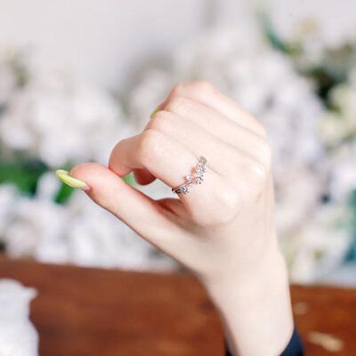秀儿家。韩国richbon官网 花朵蔓延枝头 镶钻开口戒指