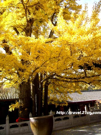 红螺寺