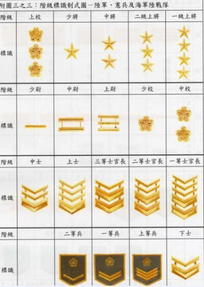 軍官分為將官、校官、尉官共3官等10官階，士官分為6個(gè)官階，士兵分為3個(gè)等級(jí) 軍官 官等 官階 階級(jí)章圖示 將官 特級(jí)上將 5顆星 一級(jí)上將 4顆星 二級(jí)上將 3顆星 中將 2顆星 少將 1顆星 校官 上校 3顆梅花 …