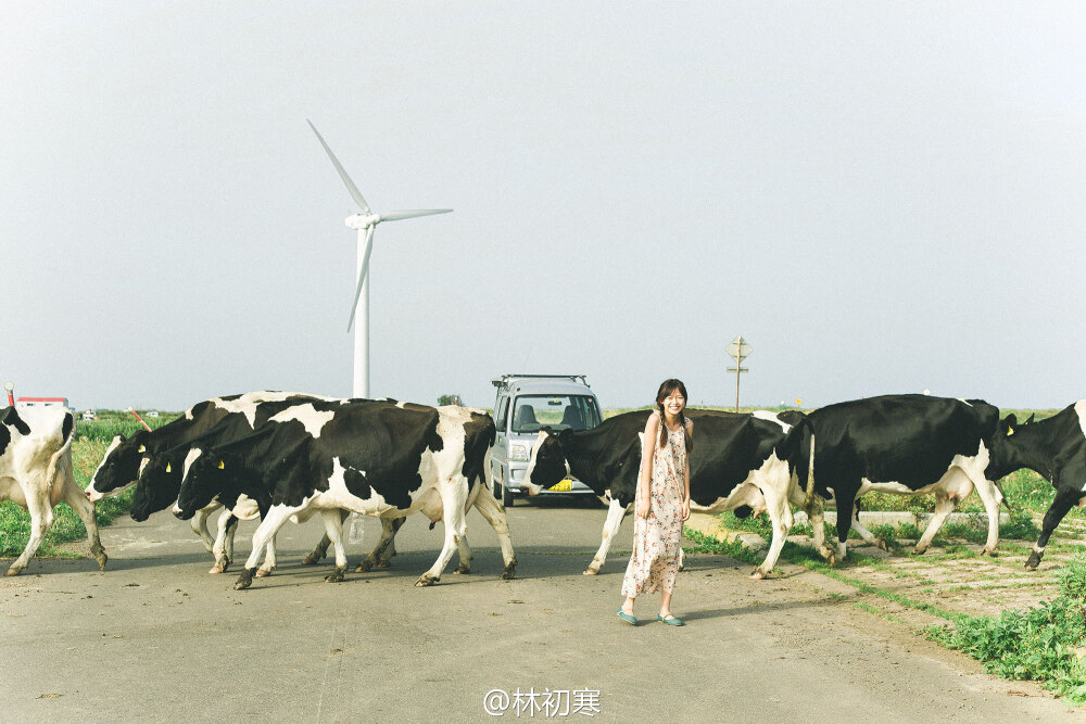 #北海道旅拍# 模特：@苏橙leaxy 摄影／后期：林初寒 拍摄地点：北海道釧路 困在城市的你，请和我一起奔跑吧！