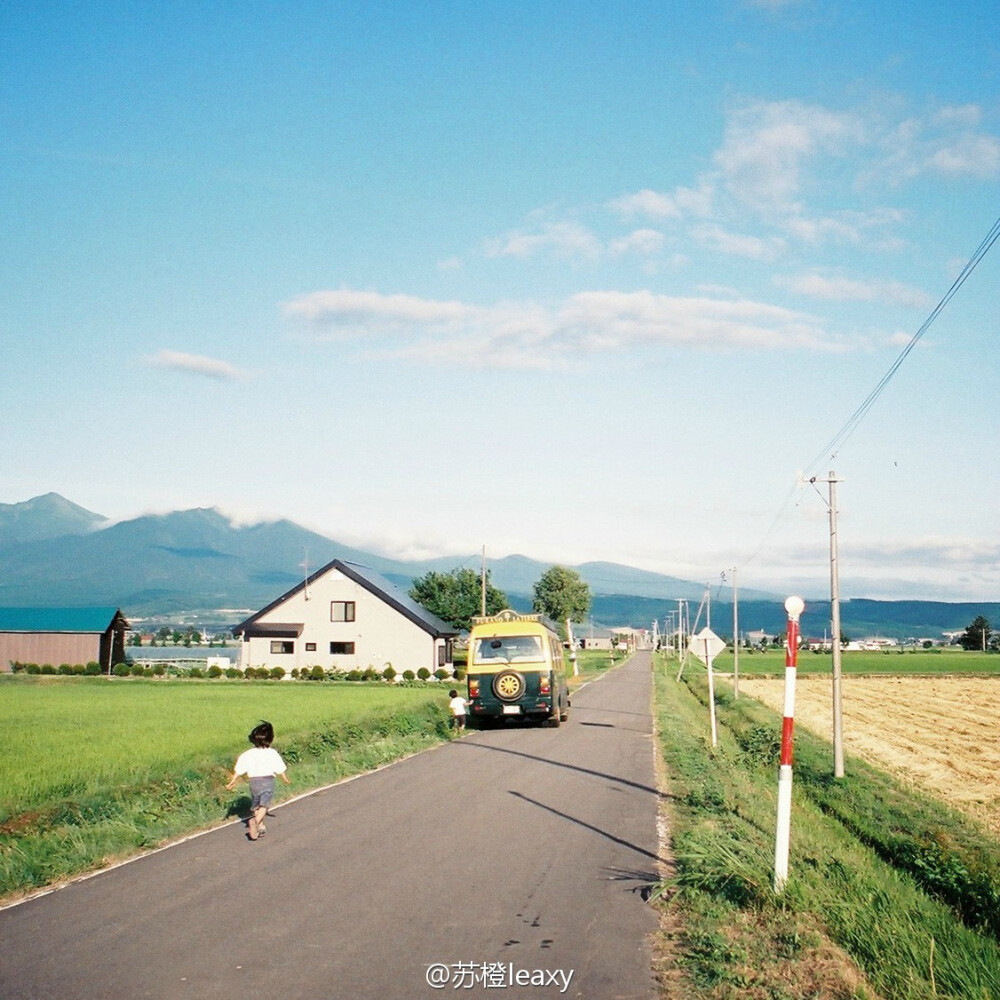 「北海道·美瑛」@苏橙leaxy