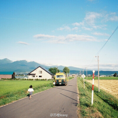 「北海道·美瑛」@苏橙leaxy