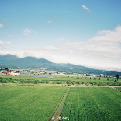 「北海道·美瑛」@苏橙leaxy