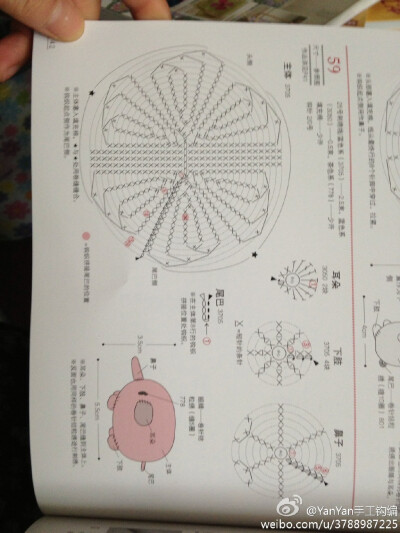 钩针 立体小动物可爱 图解 值得分享