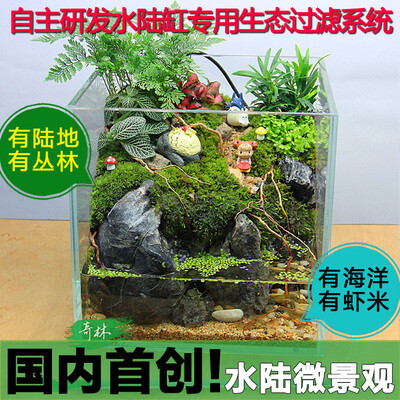 奇林植艺 水陆缸 苔藓微景观 两栖雨林 生态瓶 创意绿植礼品