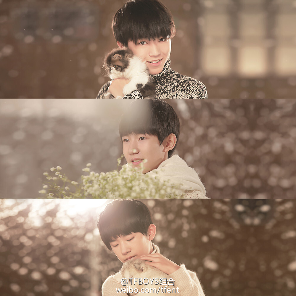 TFBOYS 样YOUNG 单曲宣传图