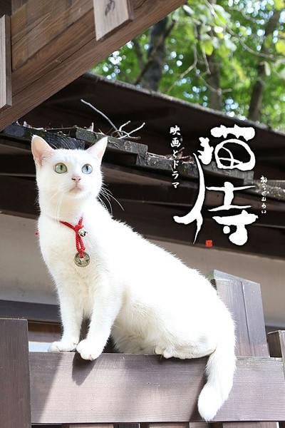 日剧《猫侍2》！浪人武士和一只猫之间的暖心故事！简直是喵星人卖萌物语系列！！实际上就是猫奴加铲屎官，剧情萌萌哒！！【第1集：L【日剧】猫侍2 01 萌萌的喵星人 北村一辉【三角字幕组】 】还有必看花絮：L【日剧】猫侍2 00 萌萌的喵星人 北村一辉【三角字幕组】 （转）