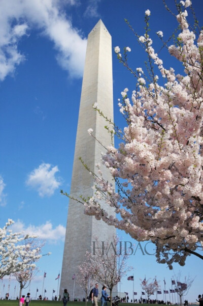 华盛顿纪念碑 (Washington Monument)