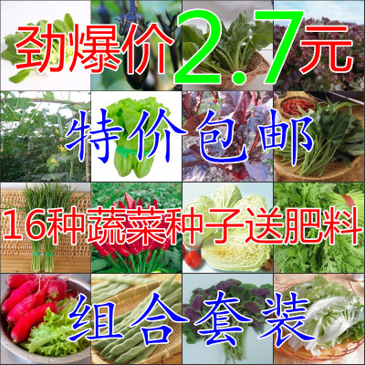 蔬菜种子套餐 阳台盆栽易种四季播 香菜籽/生菜/菠菜/番茄/萝卜等