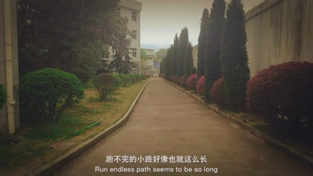 沿着这条小路，我们度过开始的日子里的每一个清晨。因为偷懒，我们时常假装蹲下系鞋带，然后宿管阿姨就会冲着你喊：“跑起来，跑起来。”